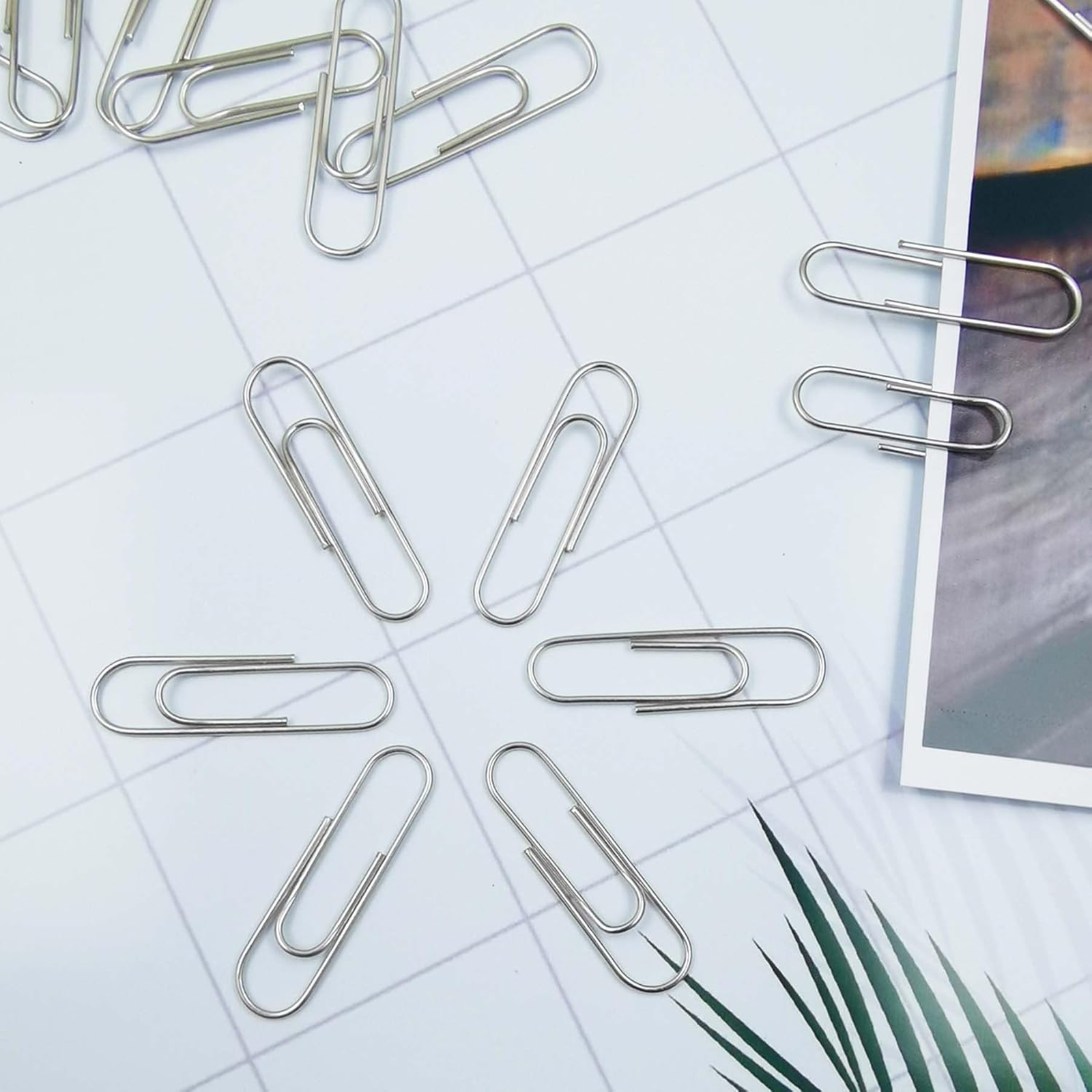 Small Paper Clips, Office & School Use, Pack of 300