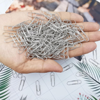 Small Paper Clips, Office & School Use, Pack of 300