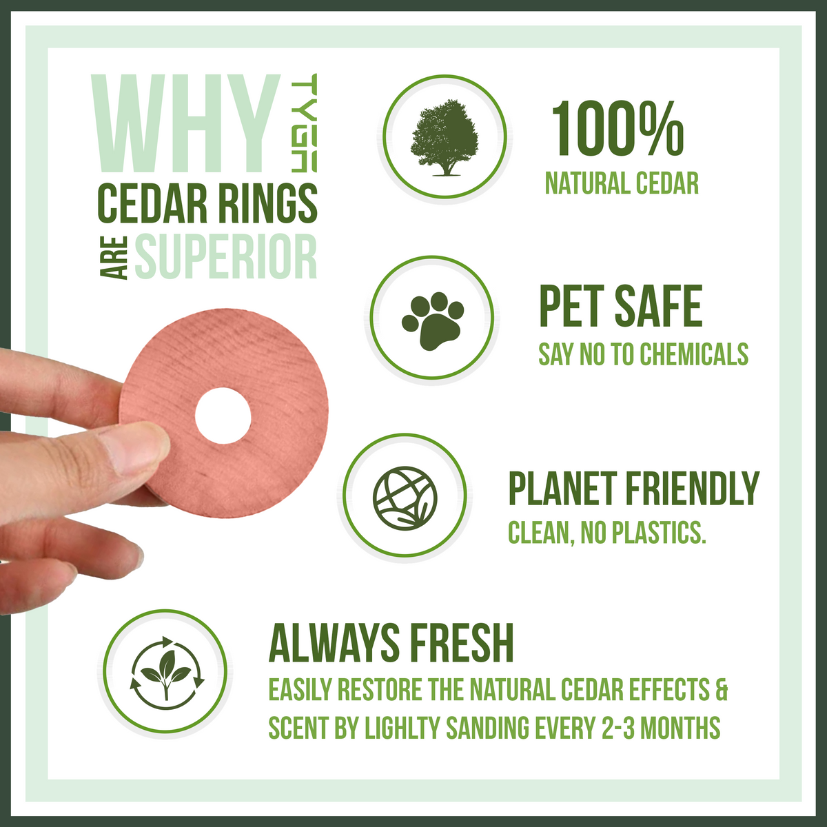 Cedar Wood Rings, Natural Moth Repellent, Pack of 56