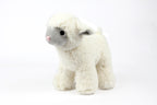 Medium Plush Lamb Soft Toy, Pack of 5