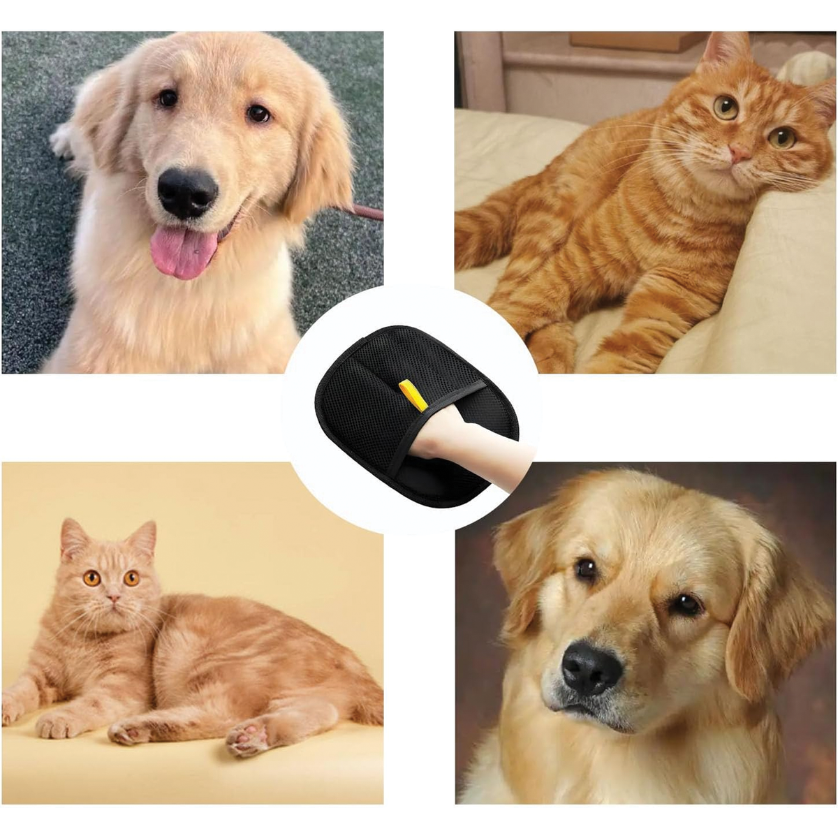 Pet Grooming Glove, Hair Removal & Deshedding Mitt, Pack of 1