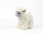 Small Plush Lamb Soft Toy, Pack of 5